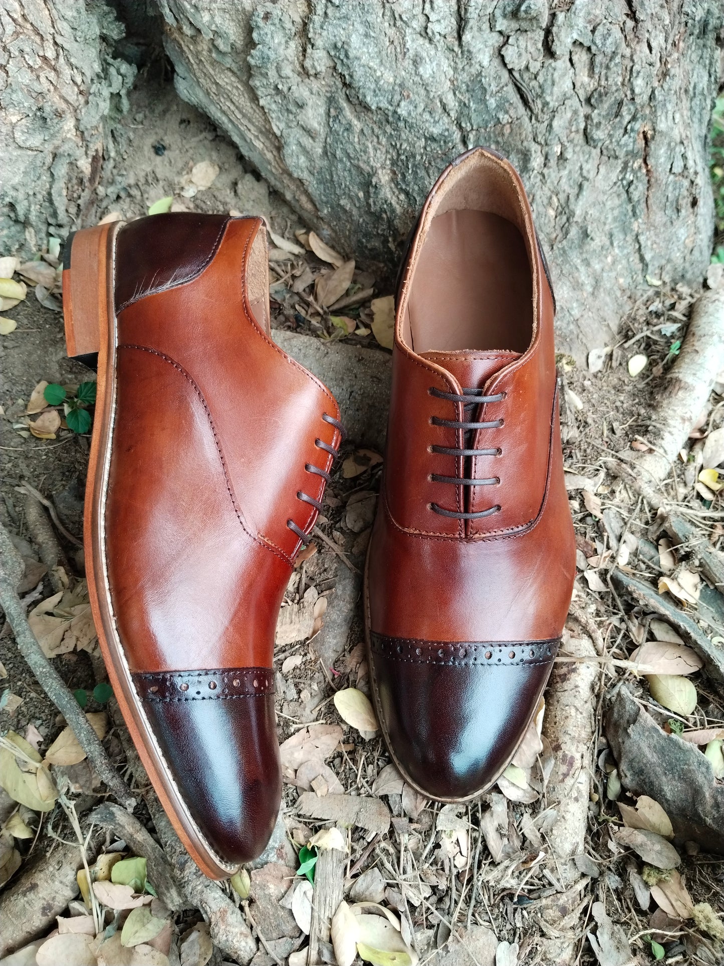 Toe cap Oxford Dual tone