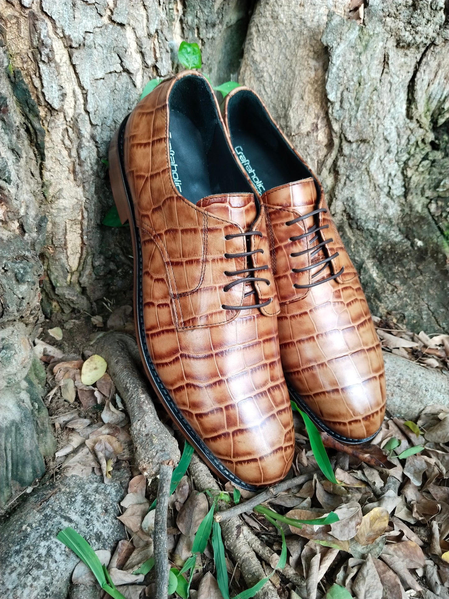 Crocodile Print Limited Edition Leather Derby Exclusive