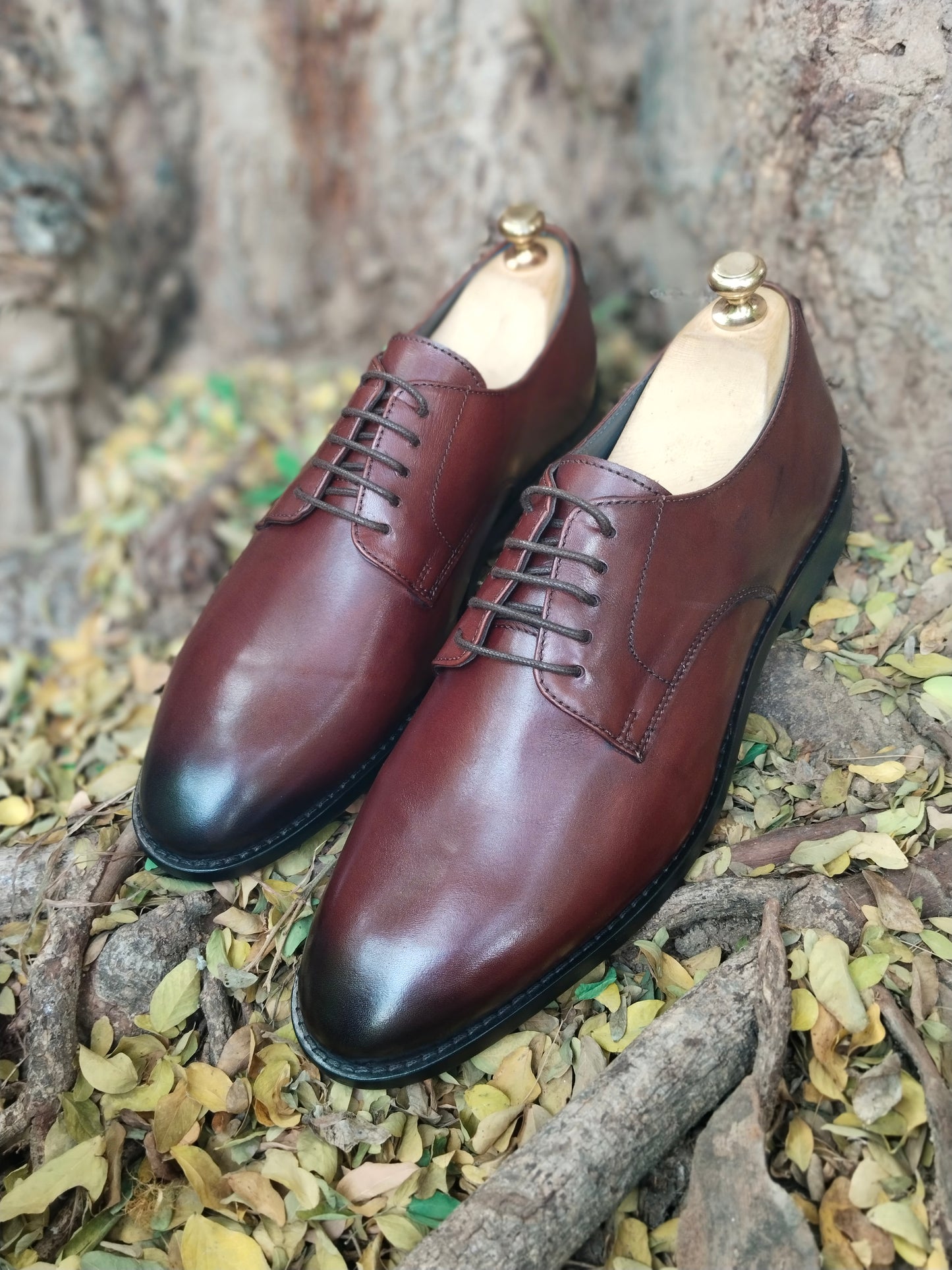 Brown Derby in Premium Leather with Tunith Sole