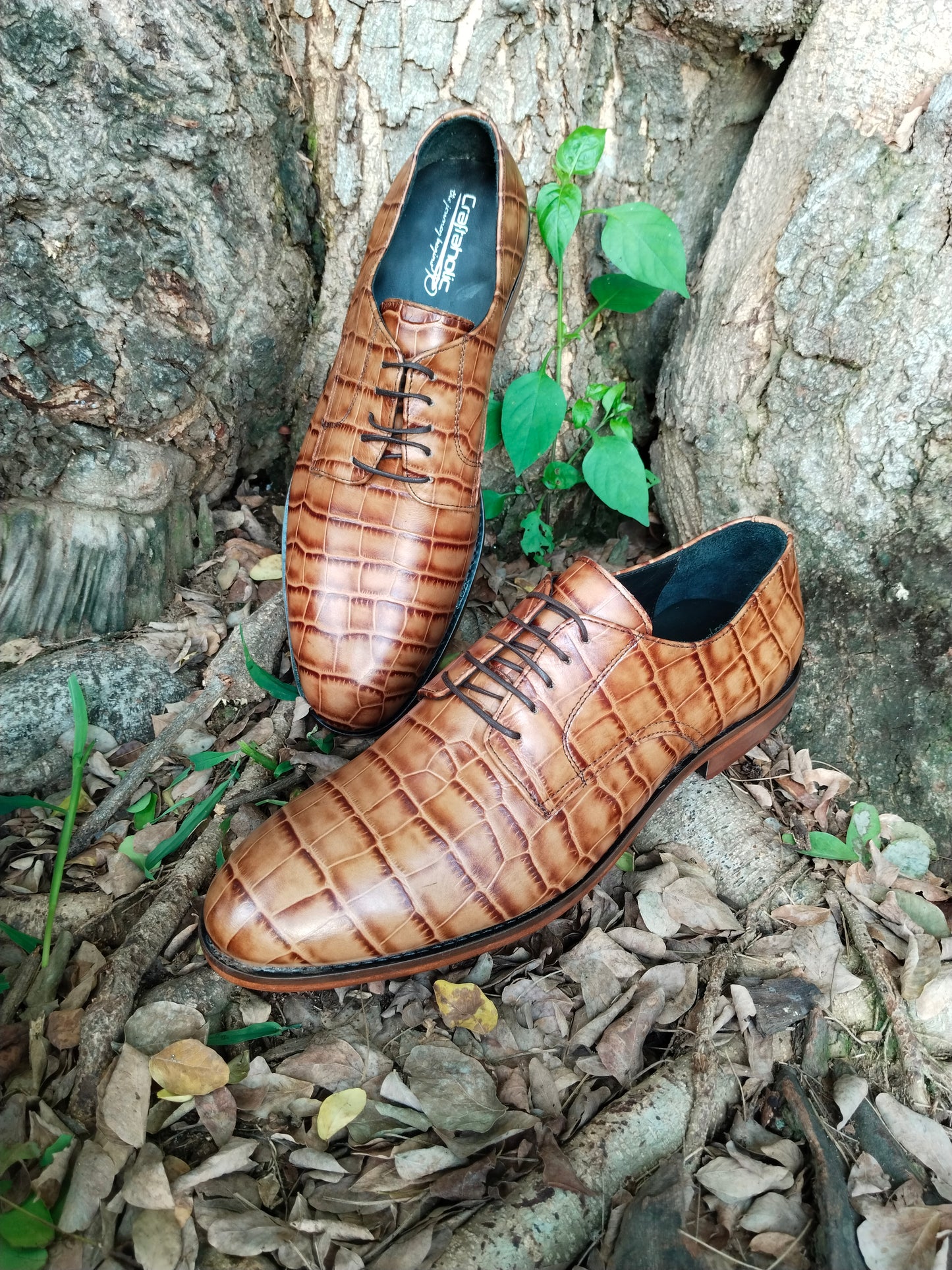 Crocodile Print Limited Edition Leather Derby Exclusive