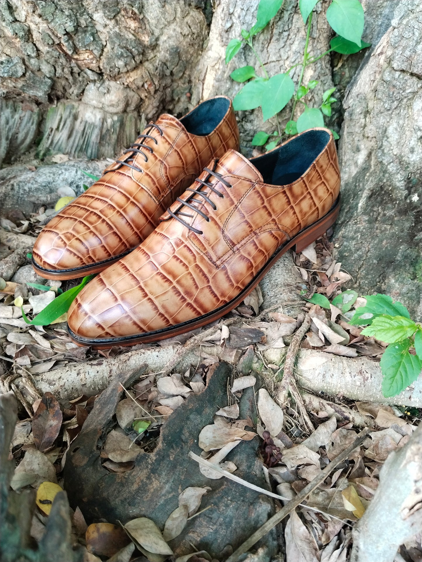 Crocodile Print Limited Edition Leather Derby Exclusive