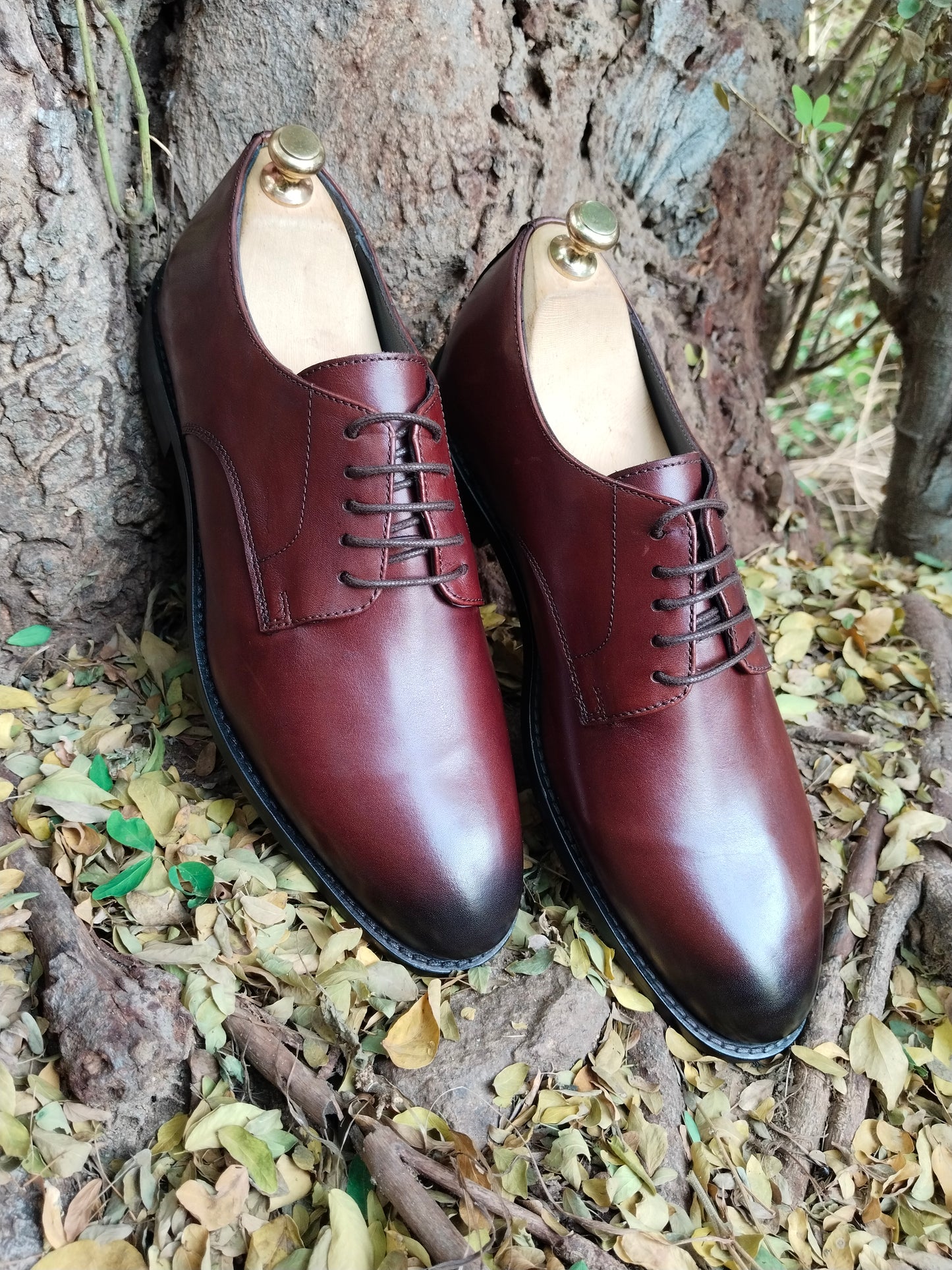 Brown Derby in Premium Leather with Tunith Sole