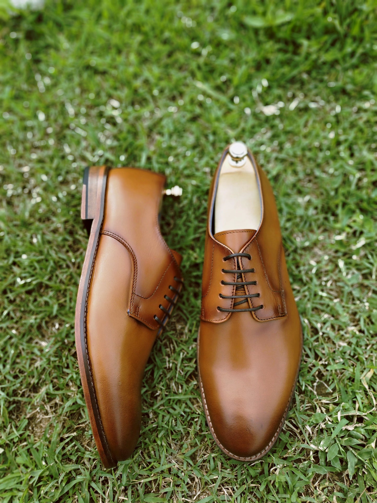 Derby Tan Colour 5 Eyelet in Leather Sole