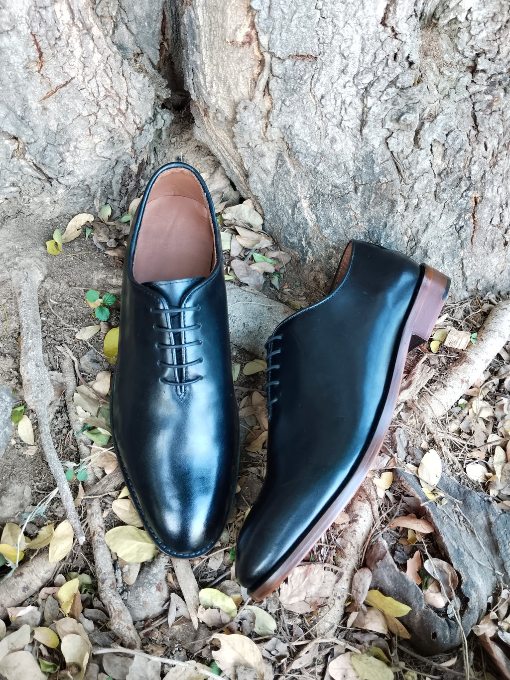 Wholecut Oxford