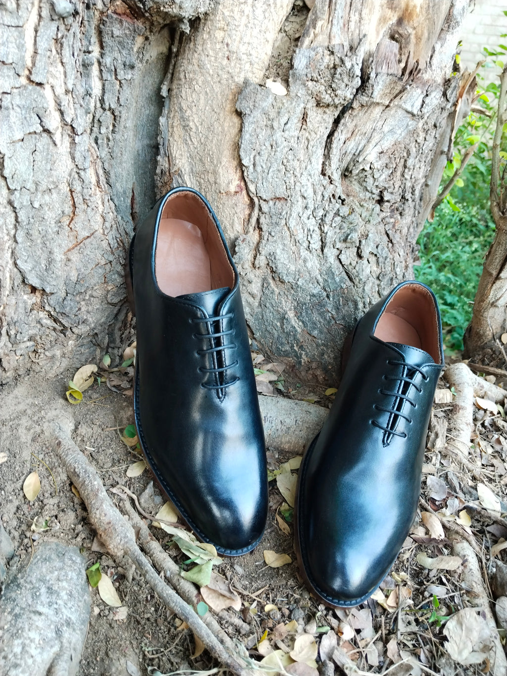 Wholecut Oxford