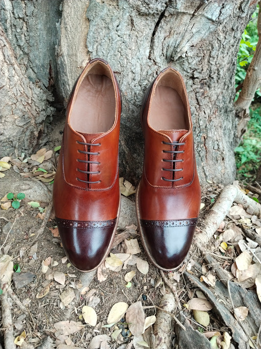 Toe cap Oxford Dual tone