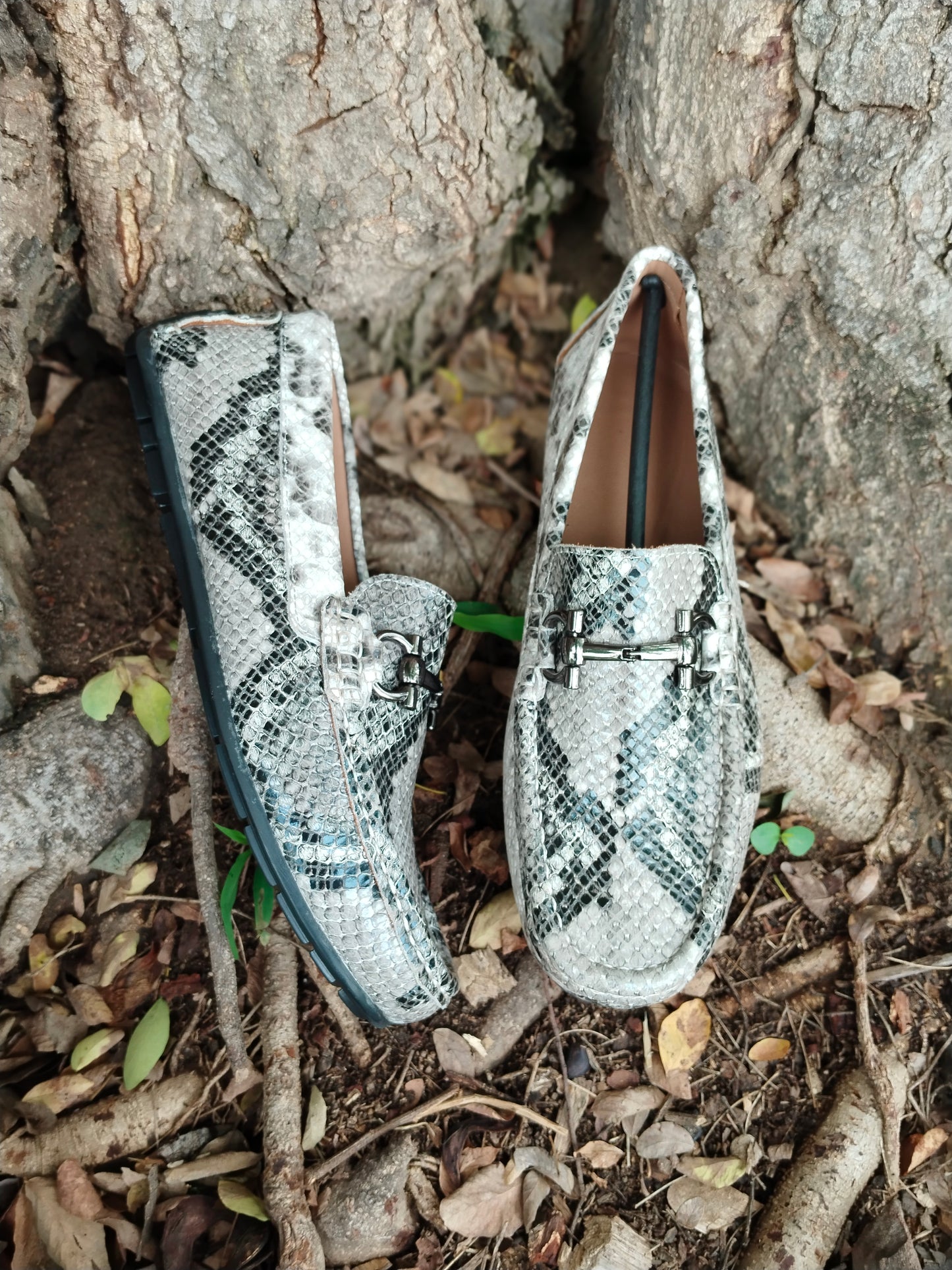 Snake print Leather driving shoes